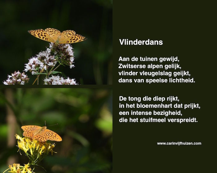 BUTTERFLY DANCE